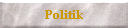 Politik