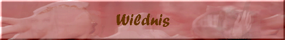 Wildnis