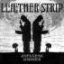 1. Maxi von Lether Strip
