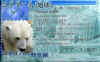 Weibr Passport - Personalausweis Eisbr
